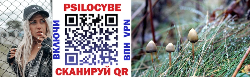 Псилоцибиновые грибы Psilocybe  Дегтярск 